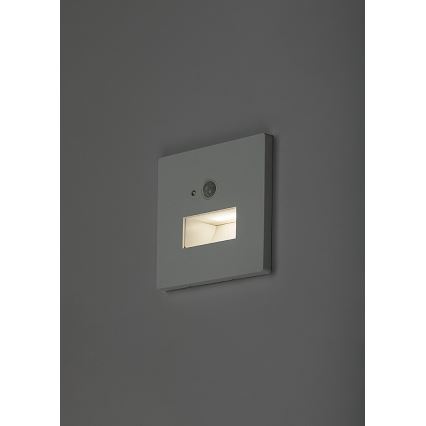 Rabalux - LED-trapverlichting met bewegings- en schemersensor LED/1W/230V 3000/4500/6500K wit