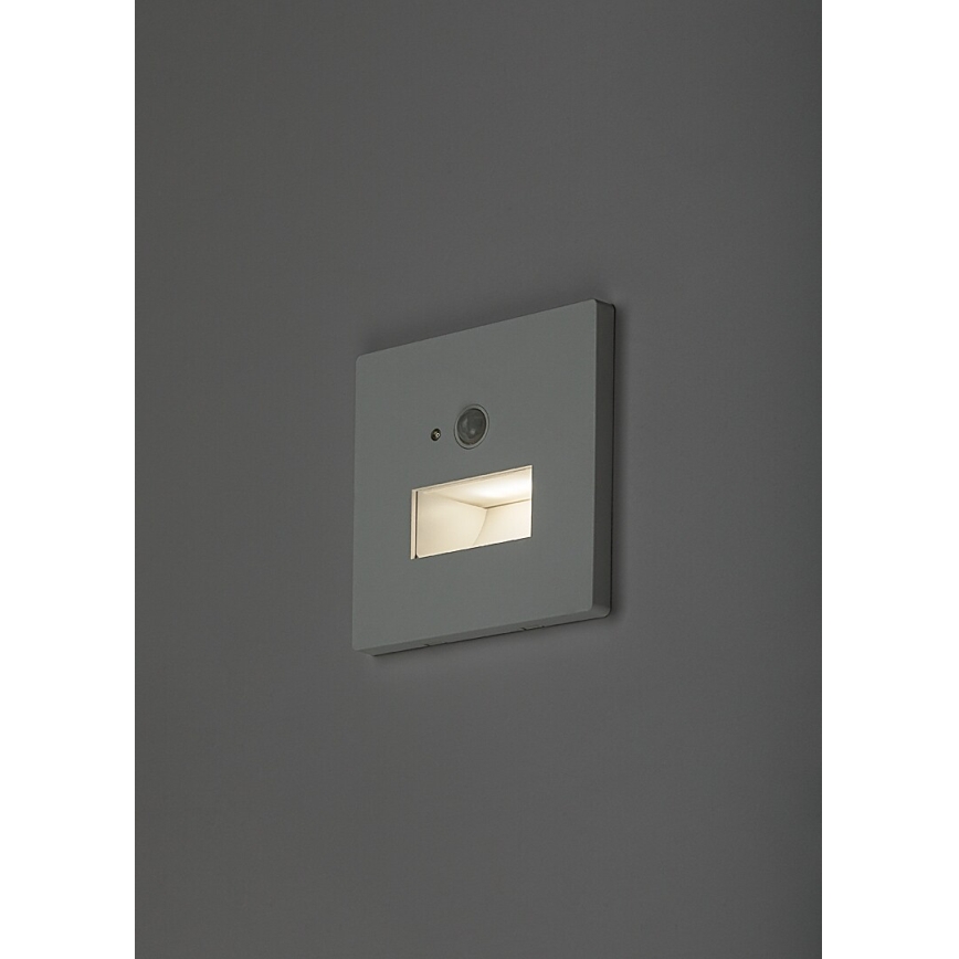 Rabalux - LED-trapverlichting met bewegings- en schemersensor LED/1W/230V 3000/4500/6500K wit