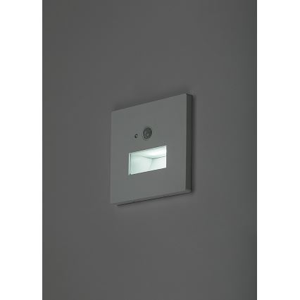 Rabalux - LED-trapverlichting met bewegings- en schemersensor LED/1W/230V 3000/4500/6500K wit