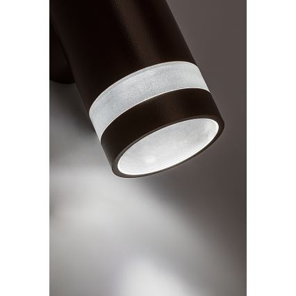 Rabalux - Applique murale d'extérieur LED/9W/230V IP65 marron