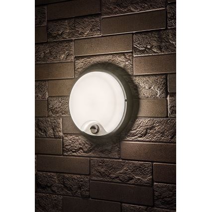 Rabalux - LED buitenwandlamp met sensor LED/18W/230V IP65 zwart
