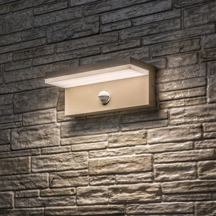 Rabalux - Applique murale LED d'extérieur avec détecteur LED/9W/230V IP54 beige
