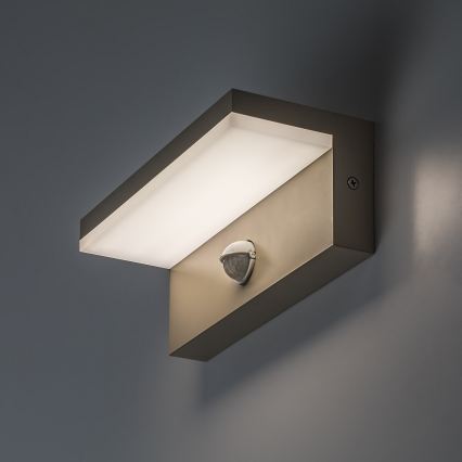 Rabalux - LED buitenwandlamp met sensor LED/9W/230V IP54 beige