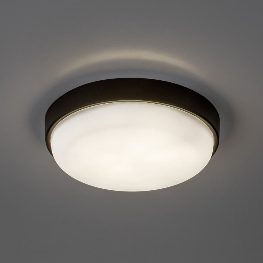 Rabalux - Plafonnier d'extérieur LED/14W/230V IP54 noir