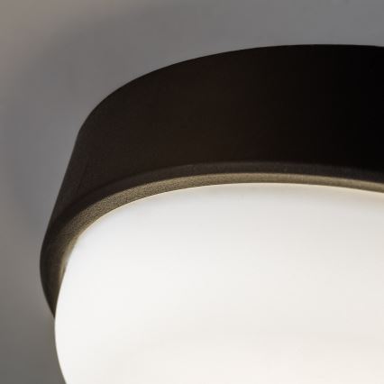Rabalux - Plafonnier d'extérieur LED/14W/230V IP54 noir