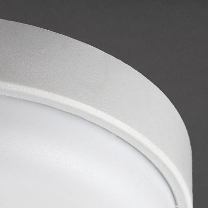 Rabalux - LED Plafonnier d'extérieur LED/14W/230V IP54 blanc