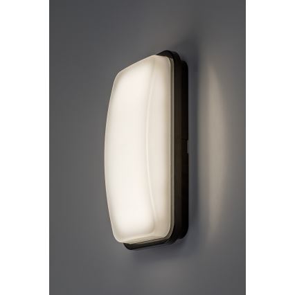 Rabalux - LED buitenwandlamp LED/20W/230V 4000K IP65