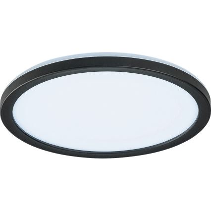 Rabalux - LED dimbaar buitenplafondlamp LED/15W/230V Wi-Fi Tuya 2700-6500K IP44 + afstandsbediening
