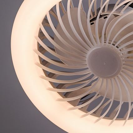 Rabalux - Ampoule LED avec ventilateur SMD E27/16W/230V