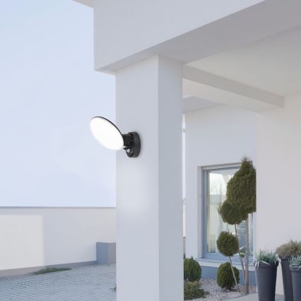 Rabalux - Applique murale LED extérieure avec détecteur LED/12W/230V IP54