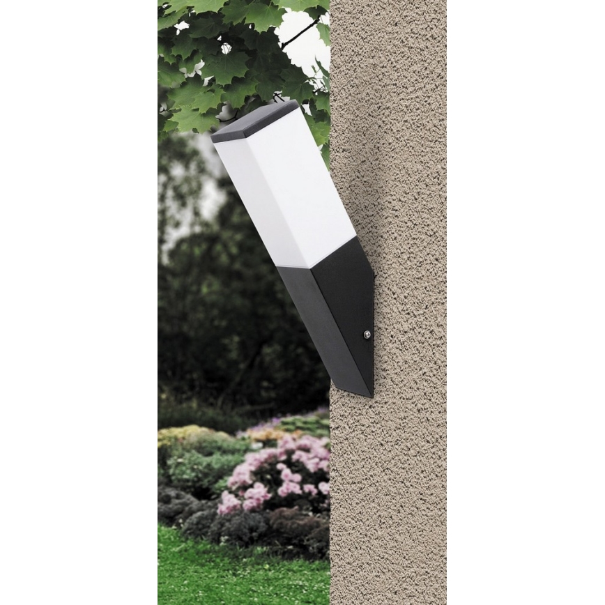 Rabalux - Buiten wandlamp 1xE27/60W/230V IP44