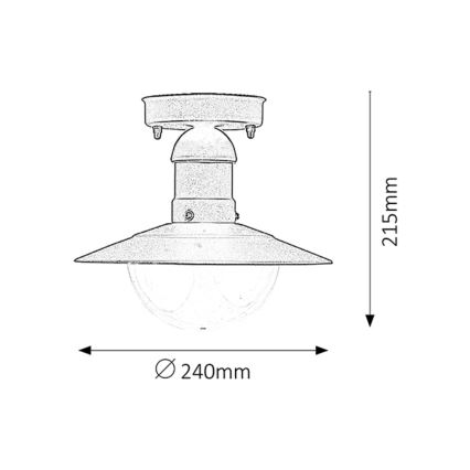 Rabalux - Plafondverlichting buiten 1xE27/60W IP44