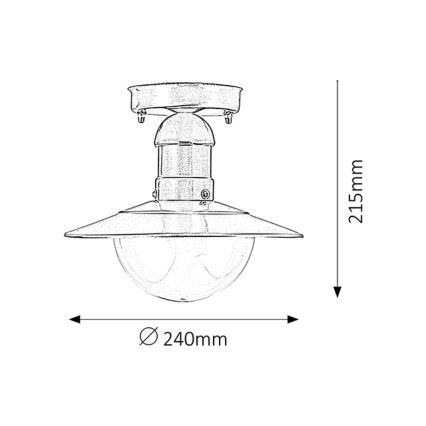 Rabalux - Plafondverlichting buiten 1xE27/60W IP44