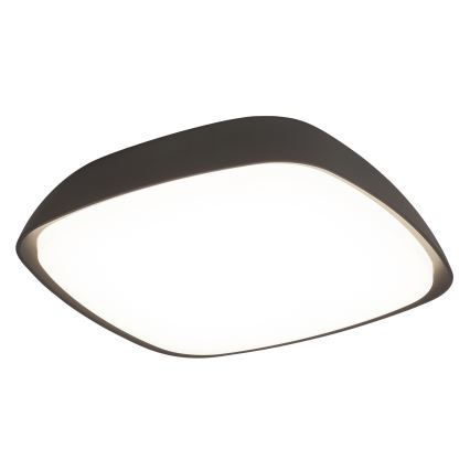 Rabalux - Plafonnier extérieur LED LED/20W/230V IP65