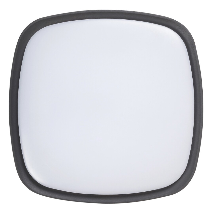 Rabalux - Plafonnier extérieur LED LED/20W/230V IP65
