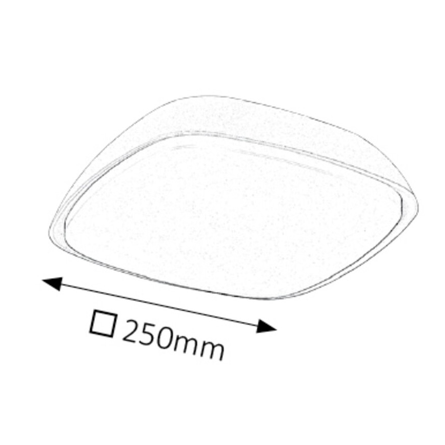 Rabalux - Plafonnier extérieur LED LED/20W/230V IP65