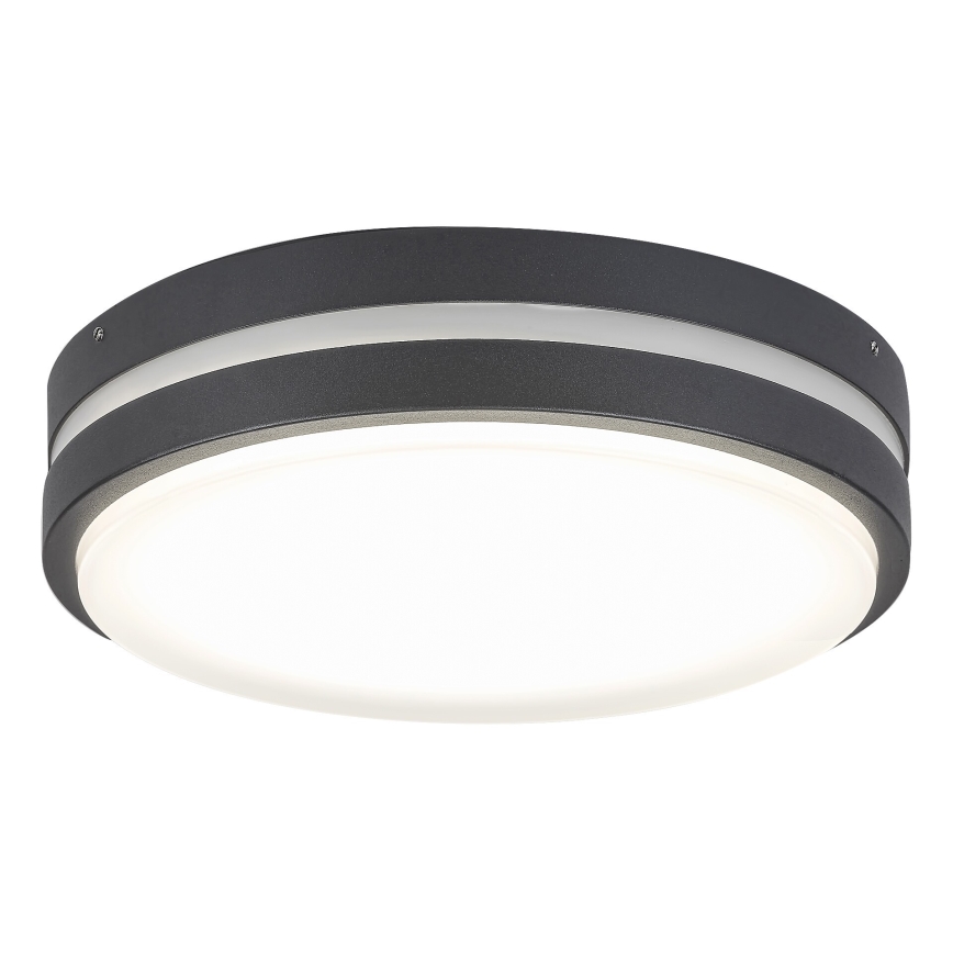 Rabalux 8847 - LED Wandlamp voor buiten HAMBURG LED/10W/230V IP44