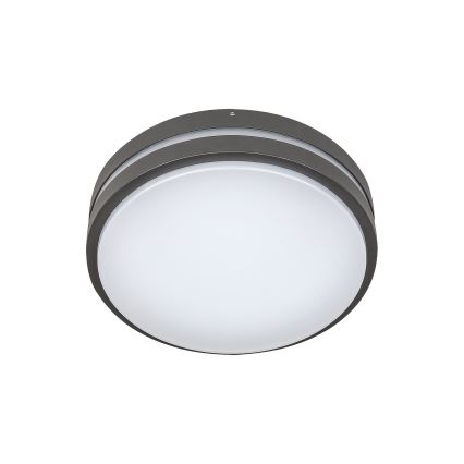 Rabalux 8847 - LED Wandlamp voor buiten HAMBURG LED/10W/230V IP44