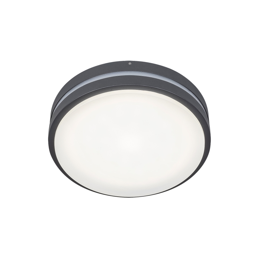 Rabalux 8847 - LED Wandlamp voor buiten HAMBURG LED/10W/230V IP44