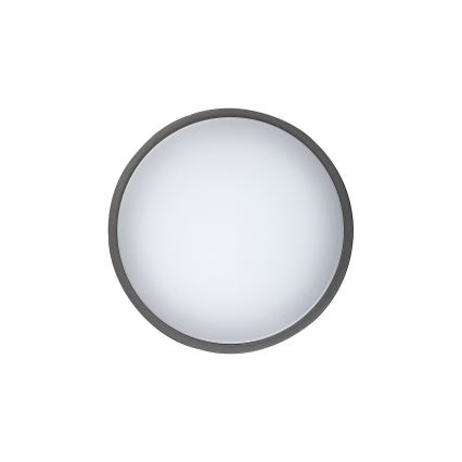 Rabalux 8847 - LED Wandlamp voor buiten HAMBURG LED/10W/230V IP44