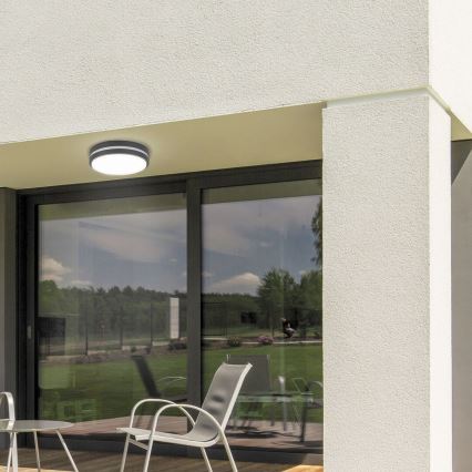 Rabalux 8848 - Applique murale extérieure HAMBURG LED/12W/230V IP44