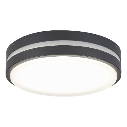 Rabalux 8848 - Applique murale extérieure HAMBURG LED/12W/230V IP44