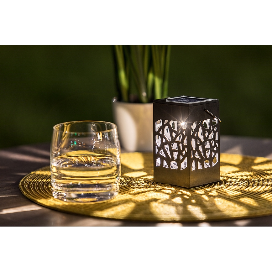 Rabalux - LED Solar buitenverlichting LED/0,07W/1xAAA IP23