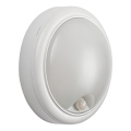 Rabalux - Applique murale d'extérieur avec détecteur LED/15W/230V IP54