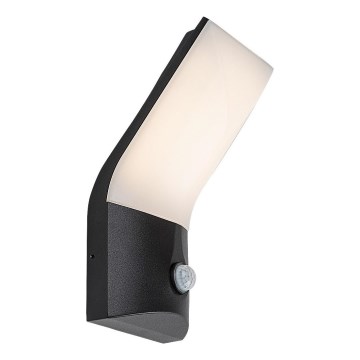 Rabalux - Applique murale extérieure avec détecteur LED/10W/230V IP54