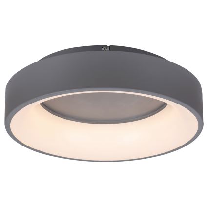 Rabalux - Dimbare LED plafondlamp LED/24W/230V rond 3000-6000K + afstandsbediening