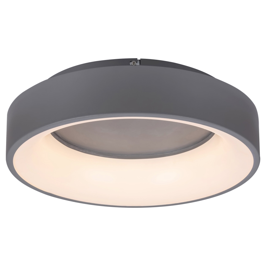 Rabalux - Dimbare LED plafondlamp LED/24W/230V rond 3000-6000K + afstandsbediening