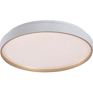 Rabalux - Dimbare LED-plafondlamp LED/34W/230V 3000-6500K Ø 38 cm + afstandsbediening
