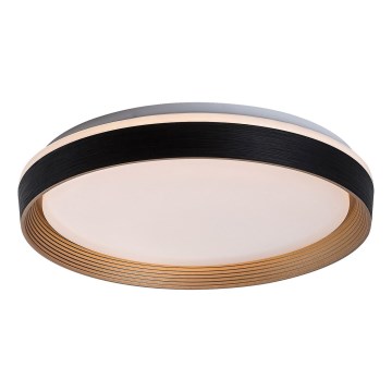 Rabalux - Dimbare LED plafondlamp LED/48W/230V 3000-6500K + afstandsbediening