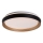 Rabalux - Dimbare LED plafondlamp LED/48W/230V 3000-6500K + afstandsbediening