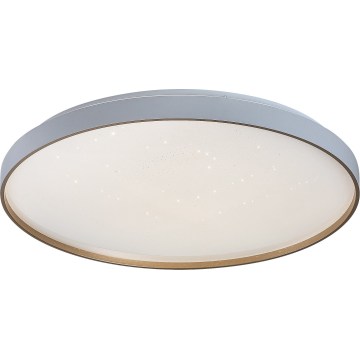 Rabalux - Dimbare LED-plafondlamp LED/80W/230V 3000-6500K pr. 77 cm + afstandsbediening