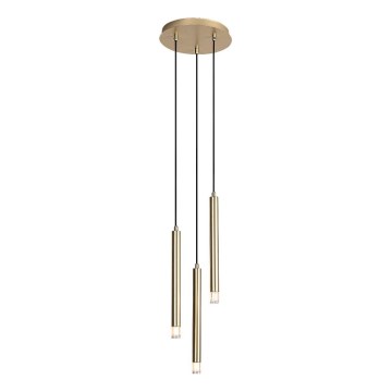 Rabalux - Hanglamp aan een koord 3xG9/5W/230V goud