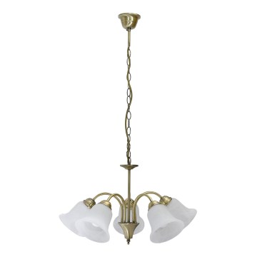 Rabalux - Hanglamp aan ketting 5xE14/40W/230V