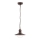 Rabalux - Hanglamp voor buiten 1xE27/60W IP44