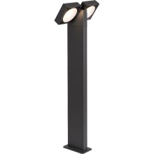 Rabalux - Lampe extérieure 2xLED/7W/230V IP54 anthracite