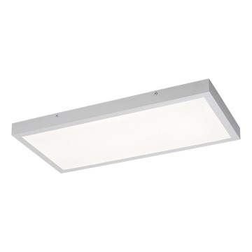 Rabalux - LED Bevestigd lichtpaneel LED/24W/230V 4000K 60x30 cm