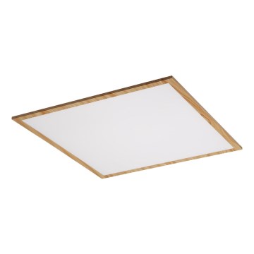 Rabalux - LED Bevestigd Paneel LED/40W/230V 4000K