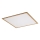 Rabalux - LED Bevestigd Paneel LED/40W/230V 4000K