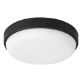 Rabalux - LED Buitenplafondlamp LED/14W/230V IP54 zwart
