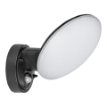Rabalux - LED Buitenwandlamp met sensor LED/12W/230V IP54