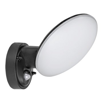 Rabalux - LED Buitenwandlamp met sensor LED/12W/230V IP54