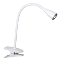 Rabalux - LED bureaulamp met klem LED/4,5W/230V
