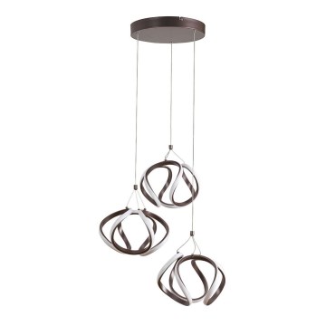 Rabalux - LED Hanglamp aan een koord LED/50W/230V