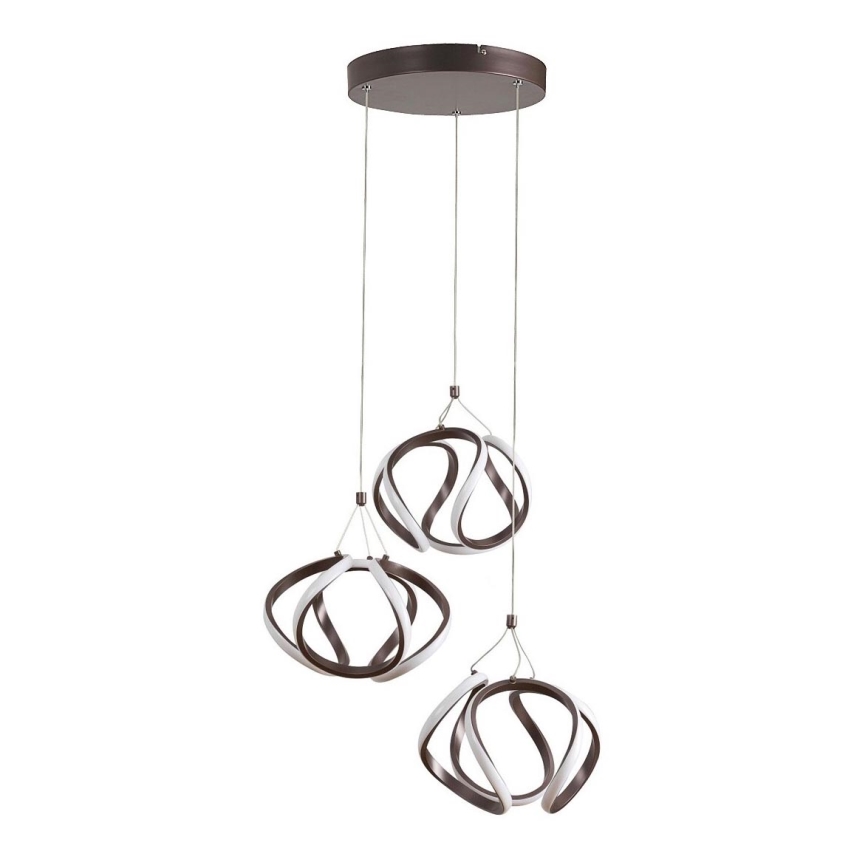 Rabalux - LED Hanglamp aan een koord LED/50W/230V