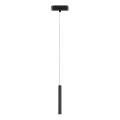 Rabalux - LED Hanglamp aan een koord voor 1-fase railsysteem LED/5W/230V 4000K zwart