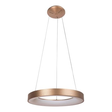 Rabalux - LED Hanglamp aan koord CARMELLA LED/50W/230V